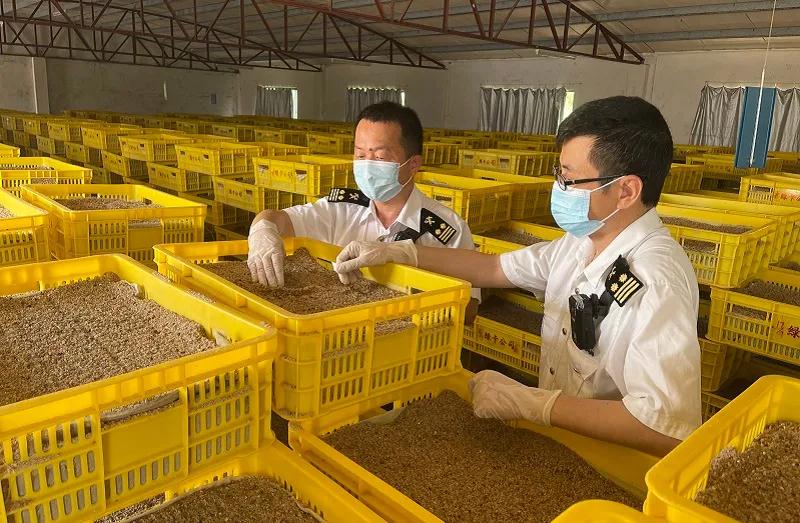 微信图片_20210813141823.jpg 微信图片_20210813141823.jpg