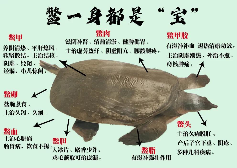 微信图片_20210924095914.jpg 微信图片_20210924095914.jpg